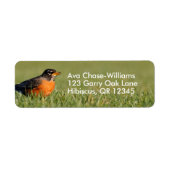 Curieuze Amerikaanse Robin Songbird in de gras Etiket (Voorkant)
