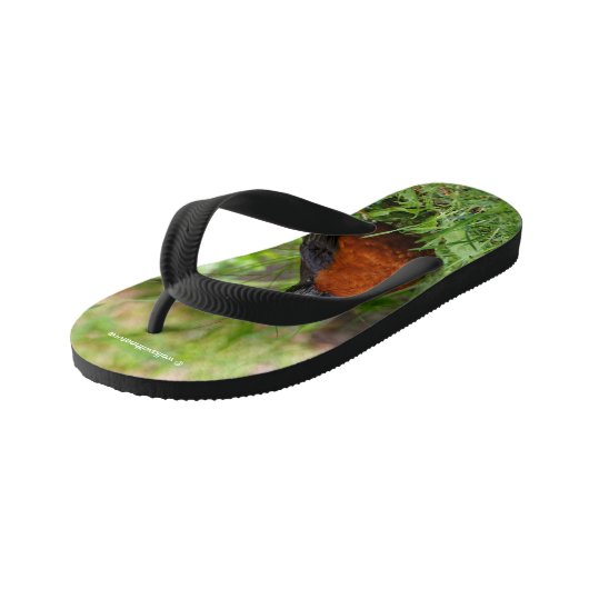 Curieuze Amerikaanse Robin Songbird in de gras Kinder Teenslippers (Schuin)