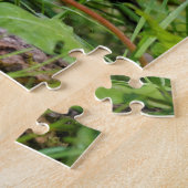 Curieuze Amerikaanse Robin Songbird in de gras Legpuzzel (Zijkant)