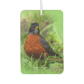 Curieuze Amerikaanse Robin Songbird in de gras Luchtverfrisser (Voorkant)