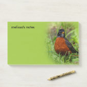 Curieuze Amerikaanse Robin Songbird in de gras Post-it® Notes (Op bureau)