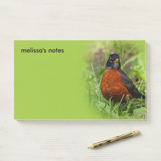 Curieuze Amerikaanse Robin Songbird in de gras Post-it® Notes (Op bureau)