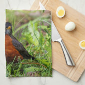 Curieuze Amerikaanse Robin Songbird in de gras Theedoek (Quarter Fold)