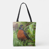 Curieuze Amerikaanse Robin Songbird in de gras Tote Bag (Achterkant)