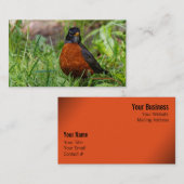 Curieuze Amerikaanse Robin Songbird in de gras Visitekaartje (Voorkant / Achterkant)