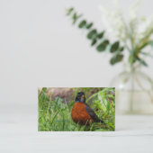 Curieuze Amerikaanse Robin Songbird in de gras Visitekaartje (Staand voorkant)