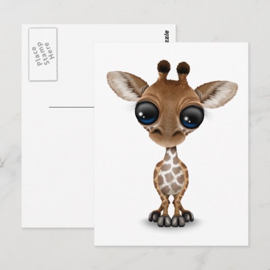 Curieuze Baby Giraffe Briefkaart (Voorkant / Achterkant)