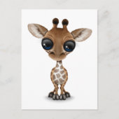 Curieuze Baby Giraffe Briefkaart (Voorkant)