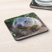 Curieuze Baby Marmot set van 6 Onderzetters (Linkerzijde)