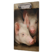 Curieuze biggen klembord (Links)