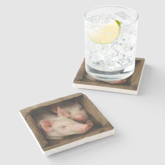 Curieuze biggen stenen onderzetter (Zijkant)