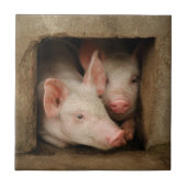 Curieuze biggen tegeltje (Voorkant)