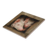 Curieuze biggen tegeltje (Zijkant)