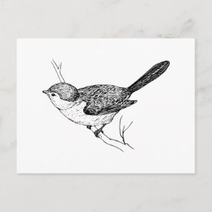 Curieuze bushtit Bird Sketch Briefkaart