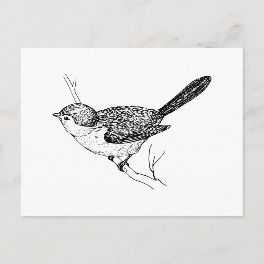 Curieuze bushtit Bird Sketch Briefkaart (Voorkant)