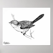 Curieuze bushtit Bird Sketch Poster (Voorkant)