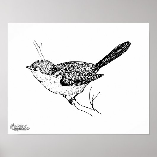 Curieuze bushtit Bird Sketch Poster (Voorkant)