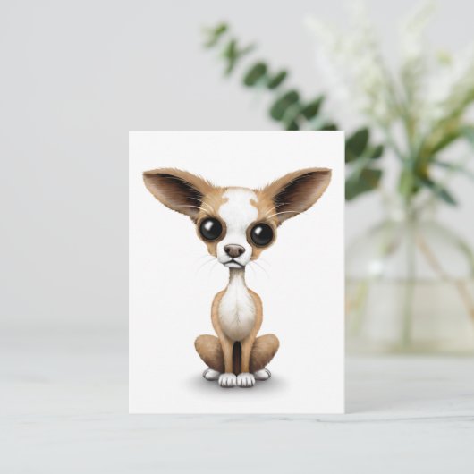 Curieuze Chihuahua met grote oorlogen op wit Briefkaart (Staand voorkant)