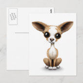 Curieuze Chihuahua met grote oorlogen op wit Briefkaart (Voorkant / Achterkant)