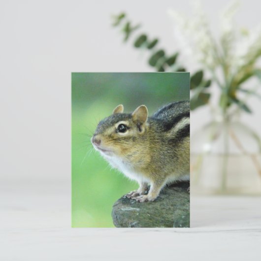 Curieuze Chipmunk-Briefkaart Briefkaart (Staand voorkant)