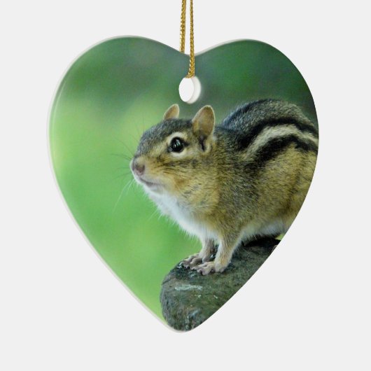 Curieuze Chipmunk Ornament (Rechts)