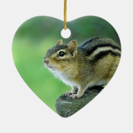 Curieuze Chipmunk Ornament (Achterkant)