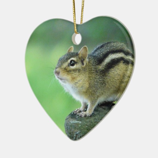 Curieuze Chipmunk Ornament (Links)
