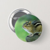 Curieuze Chipmunk Pin Ronde Button 5,7 Cm (Voorkant /achterkant)