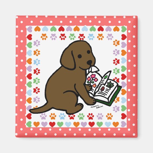 Curieuze chocolade Labrador Puppy Magneet (Voorkant)