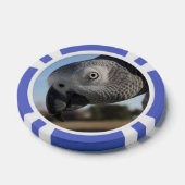 Curieuze Congo-Afrikaanse grijze papegaai Pokerchips (Enkel)