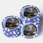 Curieuze Congo-Afrikaanse grijze papegaai Pokerchips (Opstapeling)