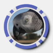 Curieuze Congo-Afrikaanse grijze papegaai Pokerchips (Achterkant)