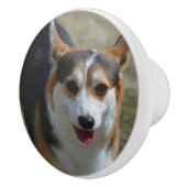 Curieuze Corgi Keramische Knop (Rechts)