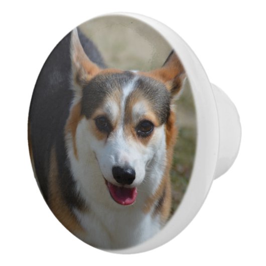 Curieuze Corgi Keramische Knop (Rechts)