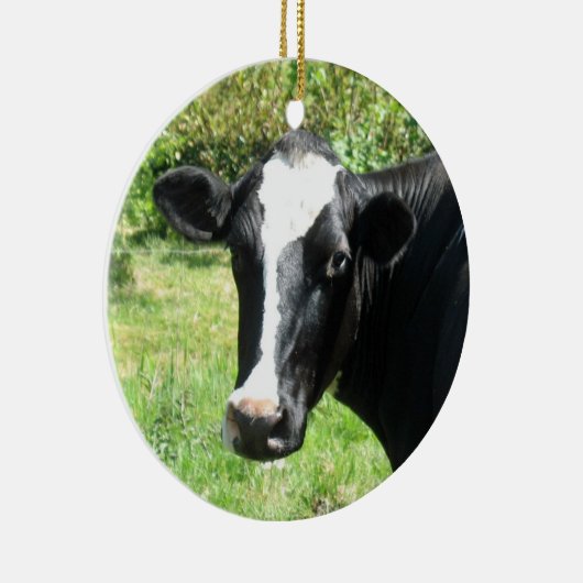 Curieuze Cow Ornament (Rechts)