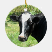 Curieuze Cow Ornament (Voorkant)