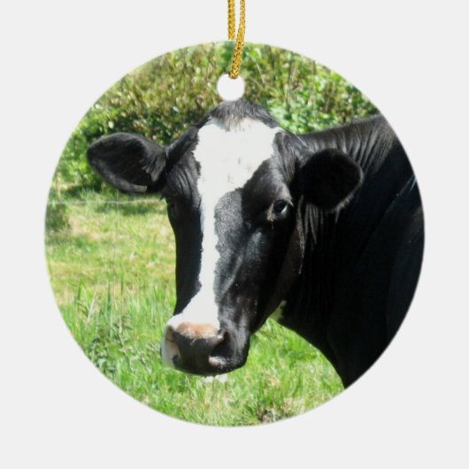 Curieuze Cow Ornament (Voorkant)
