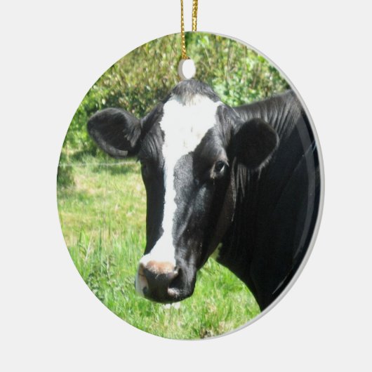 Curieuze Cow Ornament (Links)