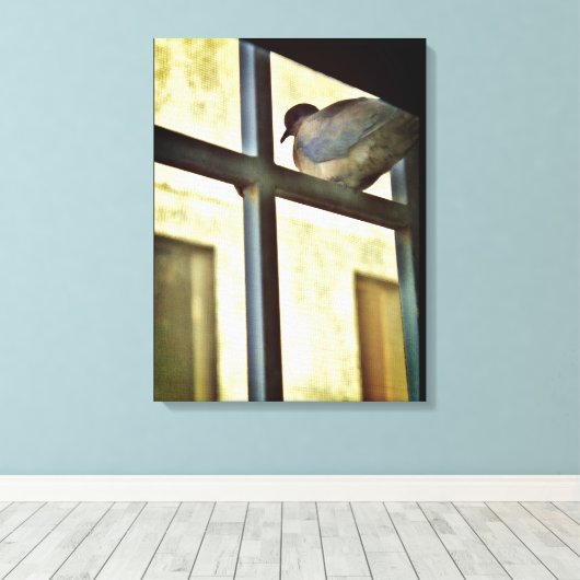 Curieuze Dove Canvas Afdruk (Insitu (Houten vloer))