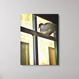 Curieuze Dove Canvas Afdruk