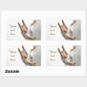 Curieuze eekhoorn rechthoekige sticker (Vel)