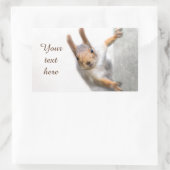 Curieuze eekhoorn rechthoekige sticker (Tas)