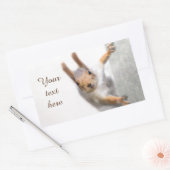 Curieuze eekhoorn rechthoekige sticker (Envelop)