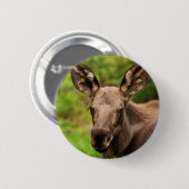 Curieuze Eland Ronde Button 5,7 Cm (Voorkant /achterkant)