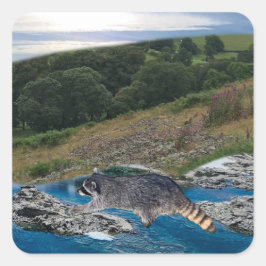 Curieuze en slimme Raccoon Square Sticker