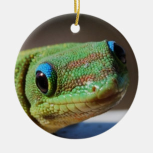Curieuze Gecko Keramisch Ornament