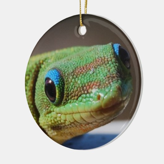 Curieuze Gecko Keramisch Ornament (Links)