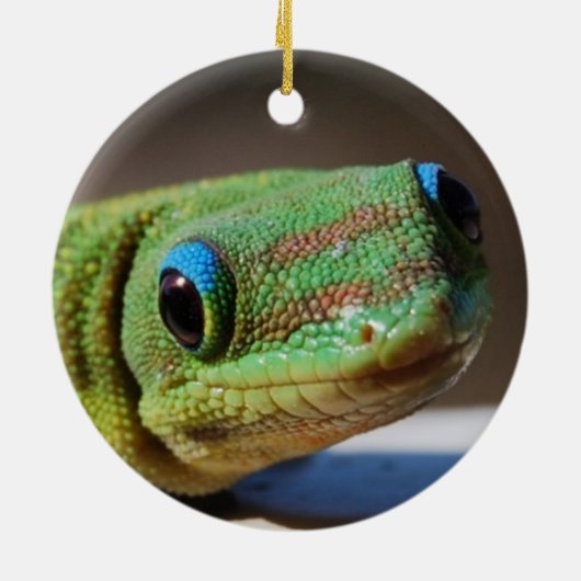 Curieuze Gecko Keramisch Ornament (Achterkant)