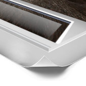 Curieuze Gorilla 3D-vensterkunst Perfect Poster (Hoek)