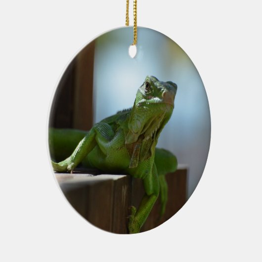 Curieuze Iguana Keramisch Ornament (Rechts)